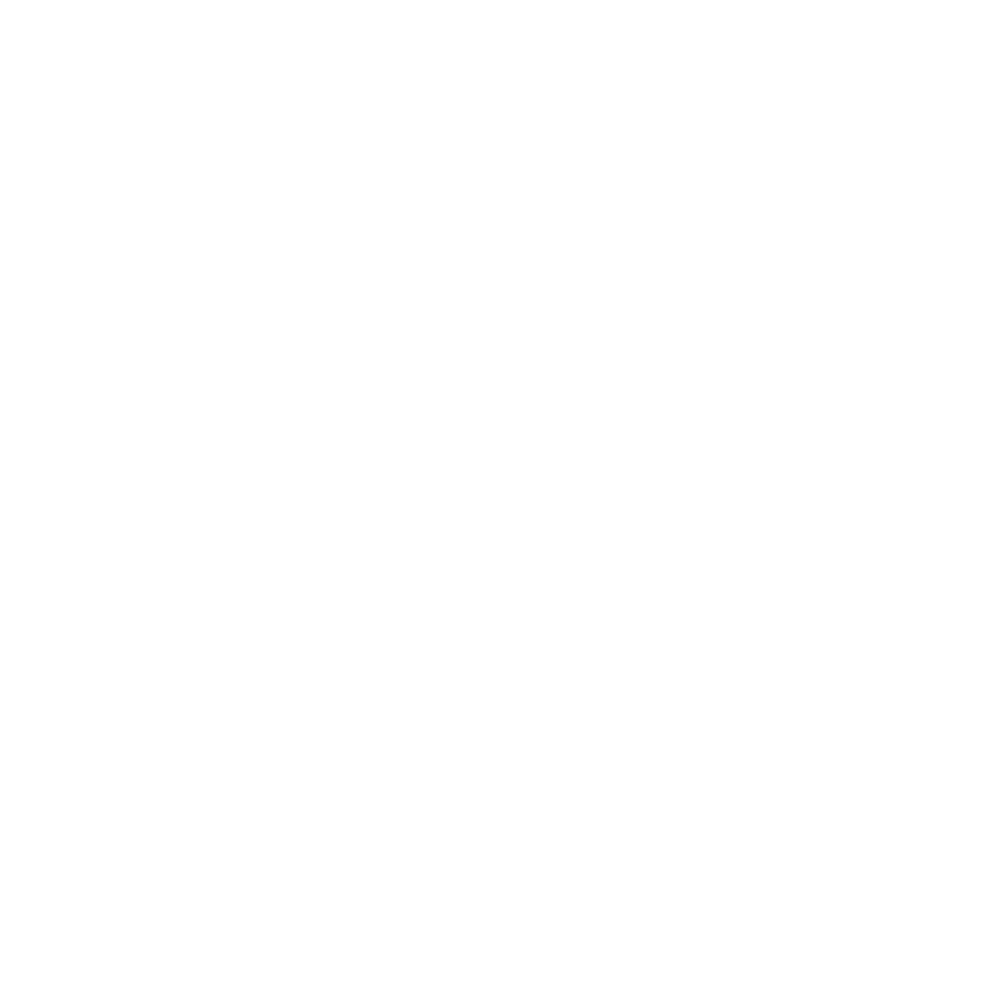 ECRicketGame Logo